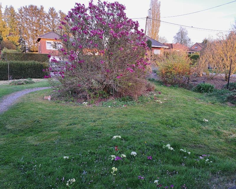 20250430_082318_nat-rn-terrain-292_photo_fagnery jardin.jpg